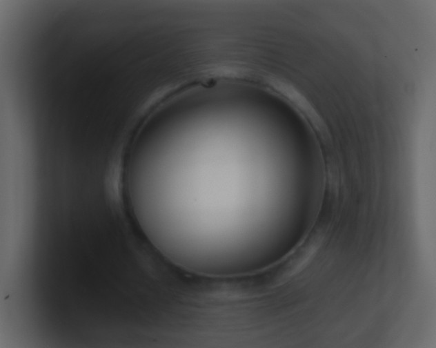 X0000101410434200807071258