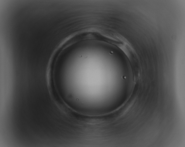 X0000101410436200807071258