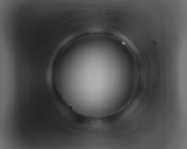 X0000101410439200807071258