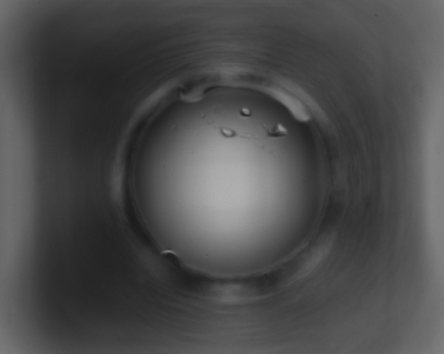 X0000101410440200807071258