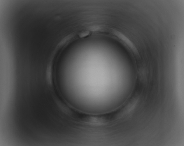 X0000101410442200807071258