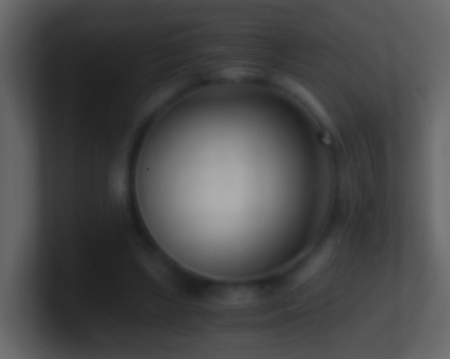 X0000101410443200807071258