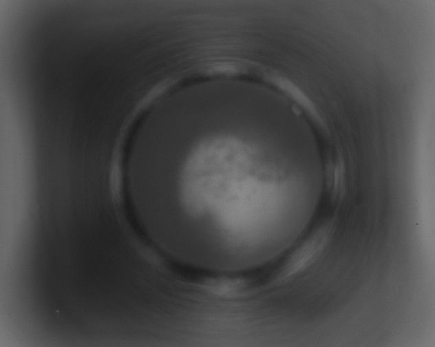 X0000101410444200807071258