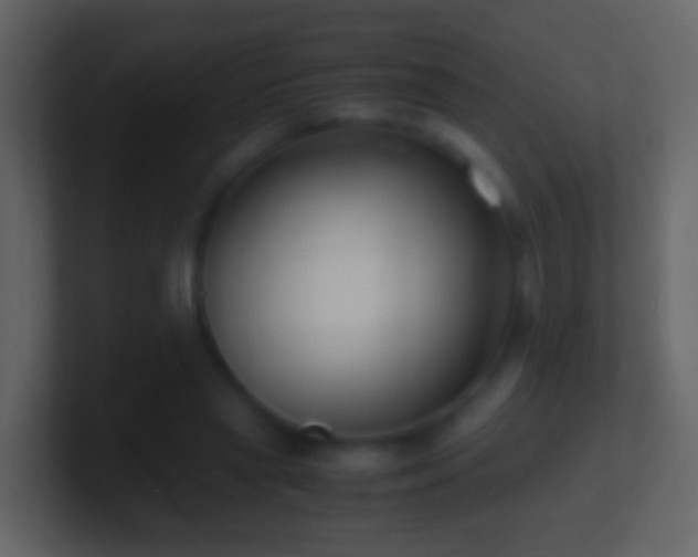 X0000101410445200807071258