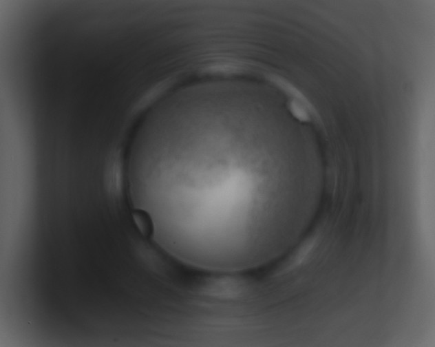X0000101410446200807071258