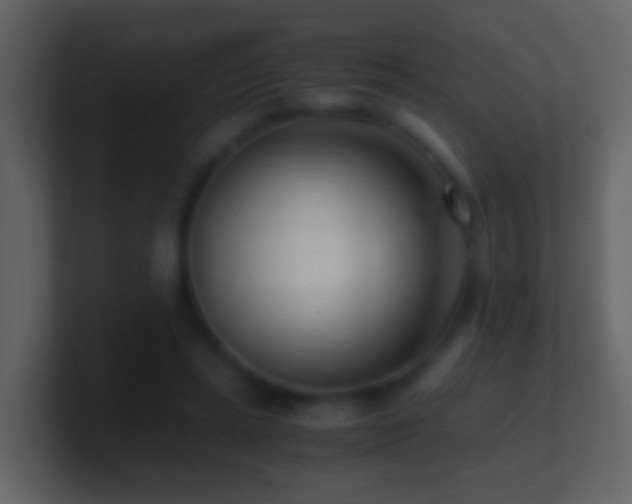 X0000101410447200807071258