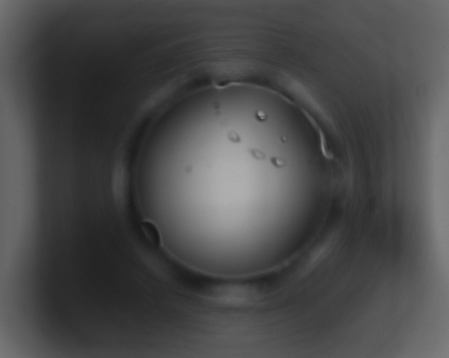 X0000101410448200807071258