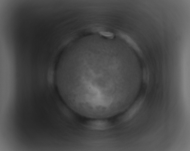 X0000101410449200807071258