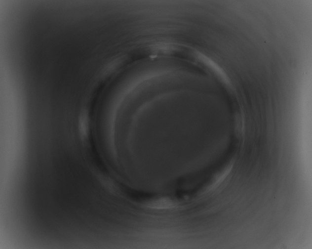 X0000101410451200807071258