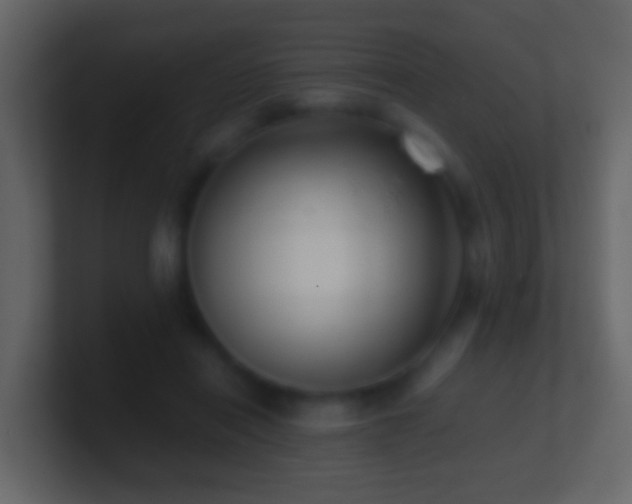 X0000101410454200807071258