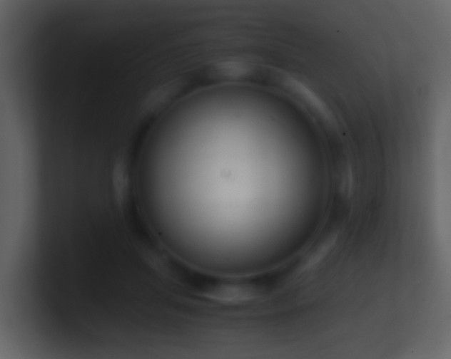 X0000101410455200807071258