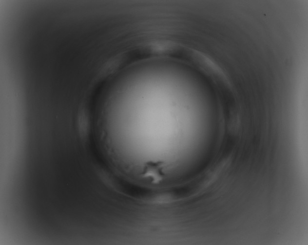 X0000101410456200807071258