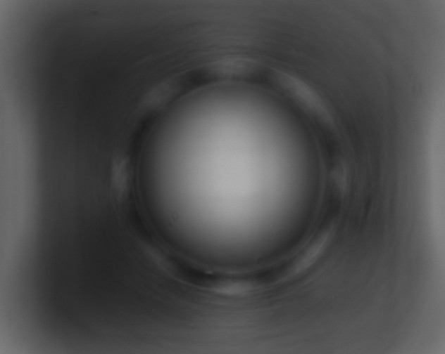 X0000101410458200807071258