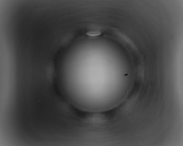X0000101410463200807071258
