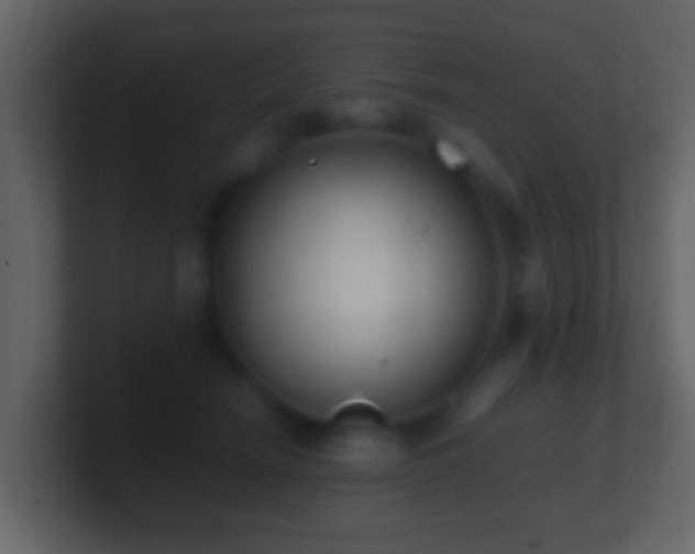 X0000101410466200807071258