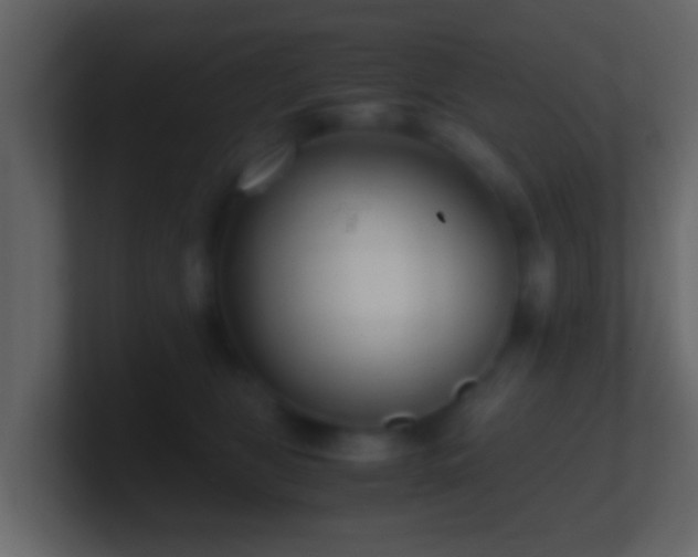 X0000101410469200807071258