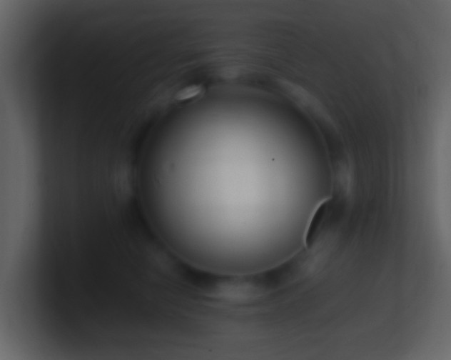 X0000101410470200807071258