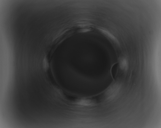 X0000101410471200807071258