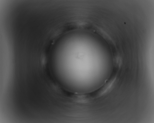 X0000101410472200807071258
