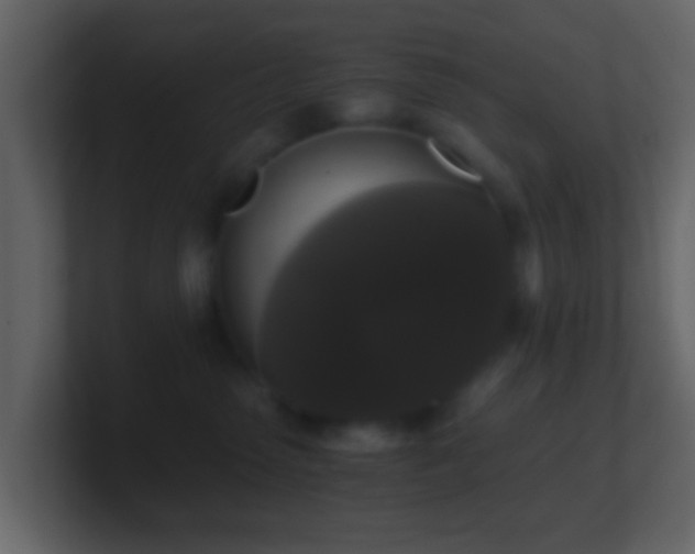 X0000101410475200807071259