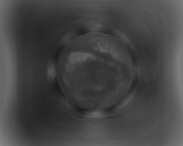 X0000101410479200807071259