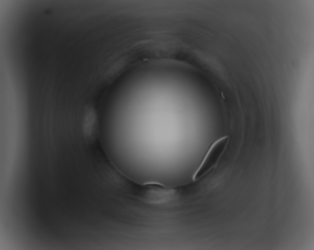 X0000101410480200807071259