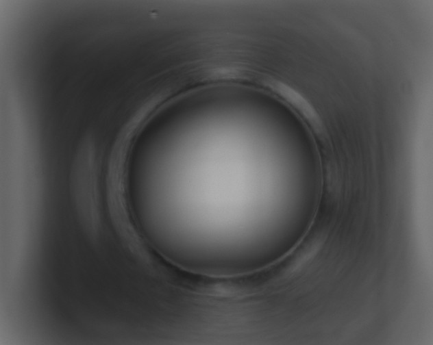 X0000101410481200807071258