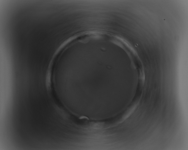 X0000101410484200807071258