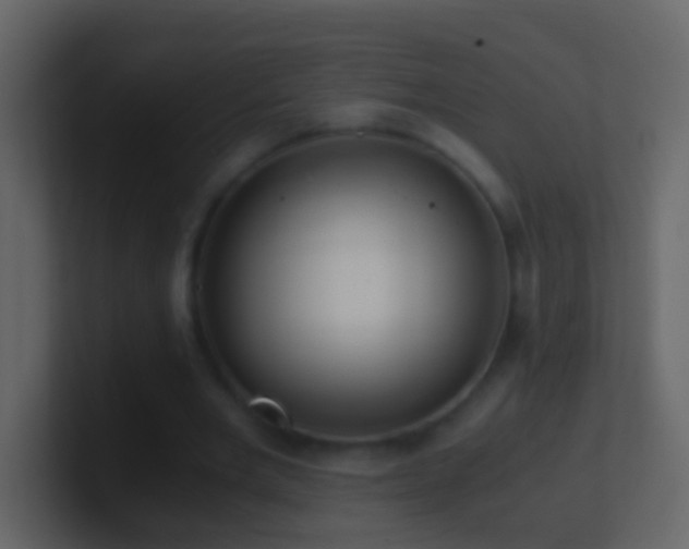 X0000101410485200807071258