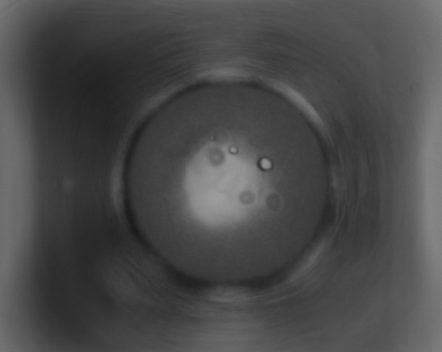 X0000101410487200807071258