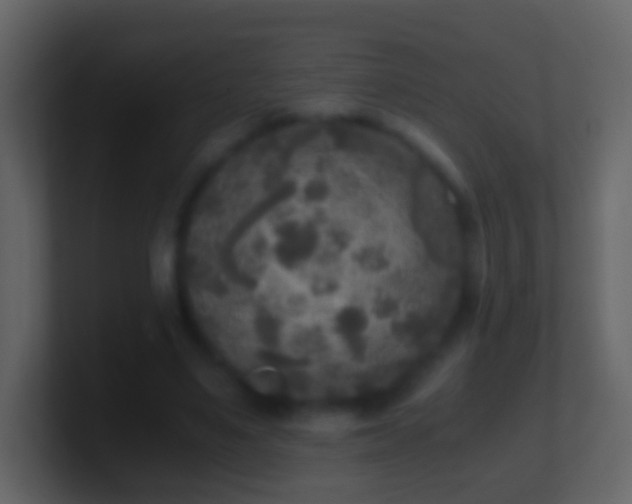 X0000101410491200807071258