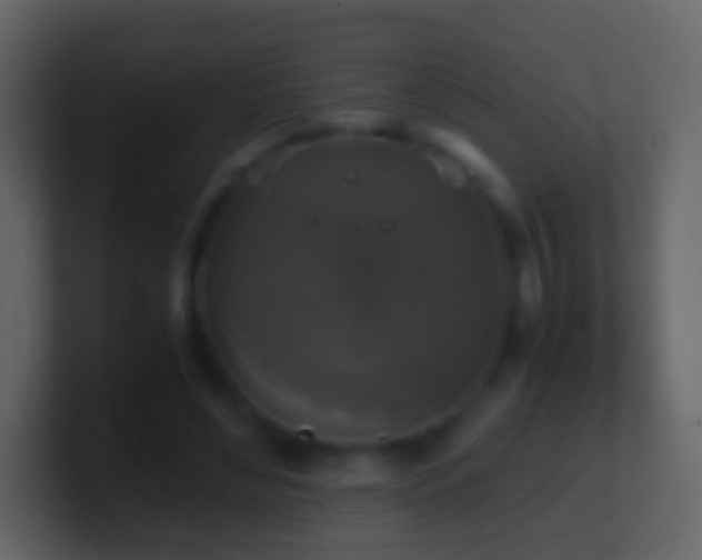 X0000101410492200807071258