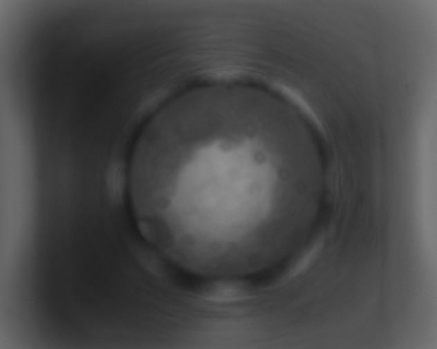 X0000101410495200807071258