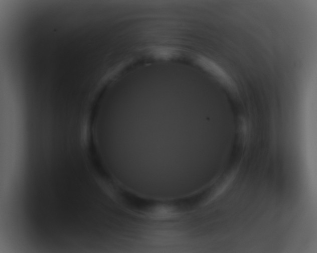 X0000101410496200807071258