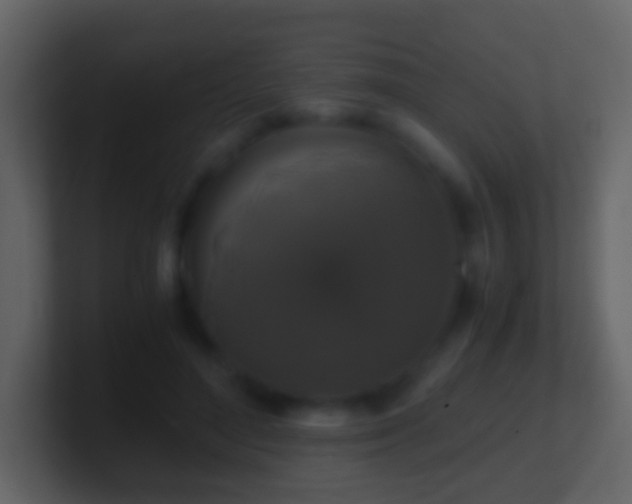 X0000101410500200807071258
