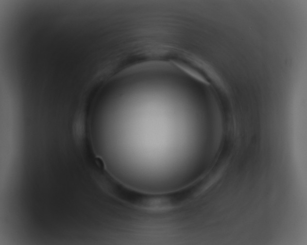 X0000101410501200807071258
