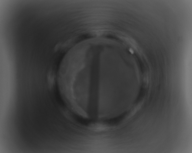 X0000101410503200807071258