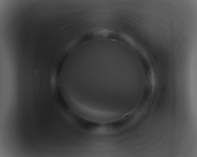 X0000101410504200807071258