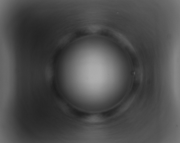 X0000101410505200807071258