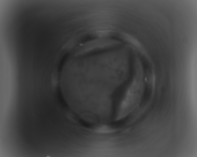 X0000101410507200807071258