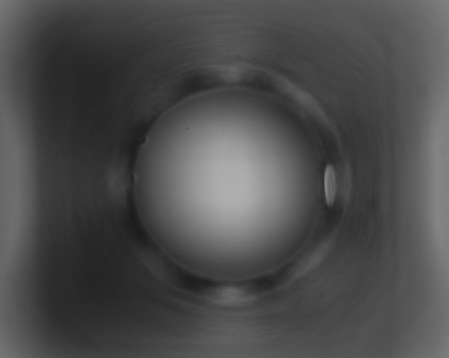 X0000101410509200807071258
