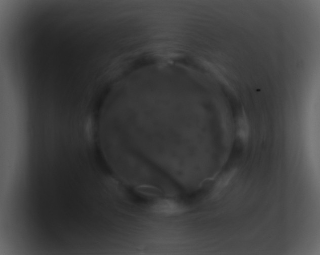 X0000101410519200807071257