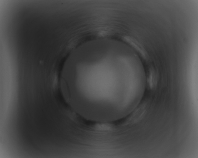 X0000101410520200807071257