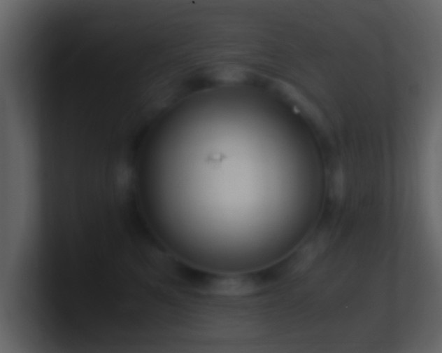 X0000101410521200807071257
