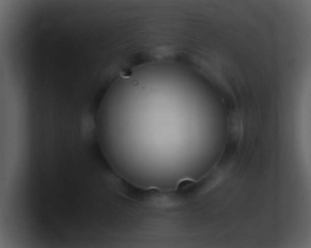 X0000101410523200807071257