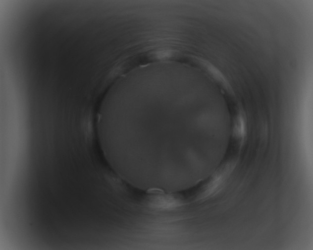 X0000101410524200807071257