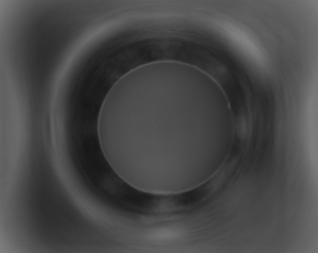 X0000101410526200807071257