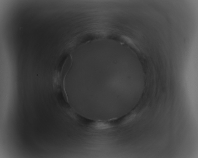 X0000101410528200807071257