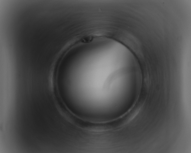 X0000101410530200807071257