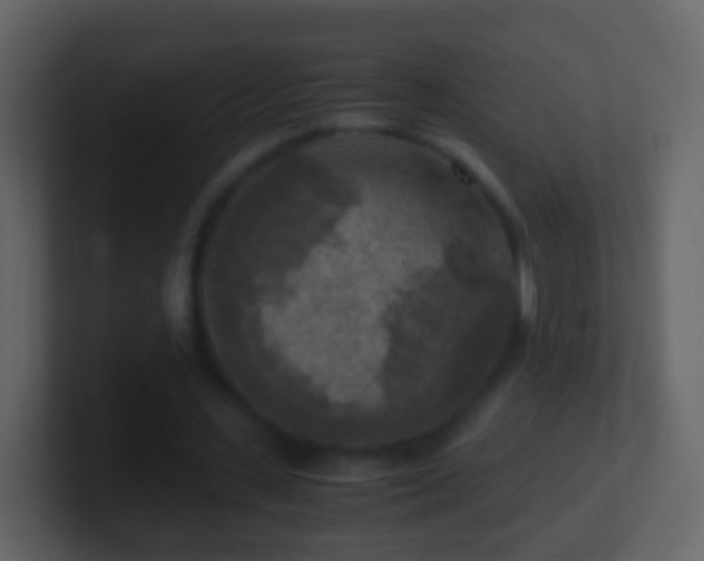 X0000101410531200807071257